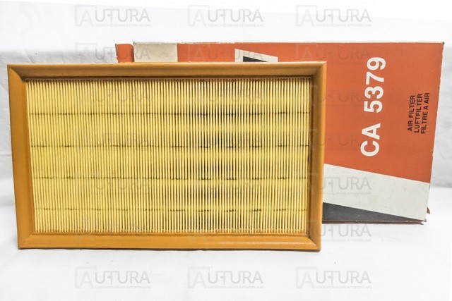 CA5379