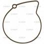 VAKUMO/KURO POMPOS TARPINE VW 1.9TDI,1.4TDI,2.0TDI