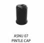 PINTLE CAP WEBBER INJECTORS SHORT TYPE