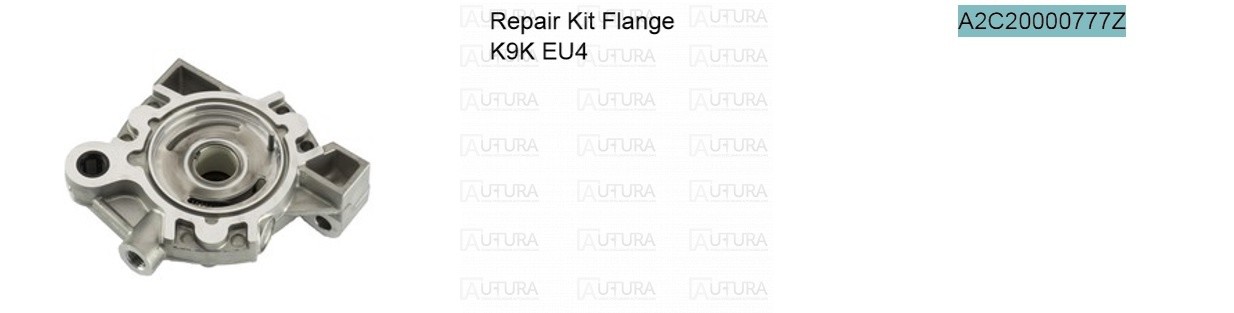 REP. SET FLANGE ASSEMBLY K9K (VOLKSWAGEN)