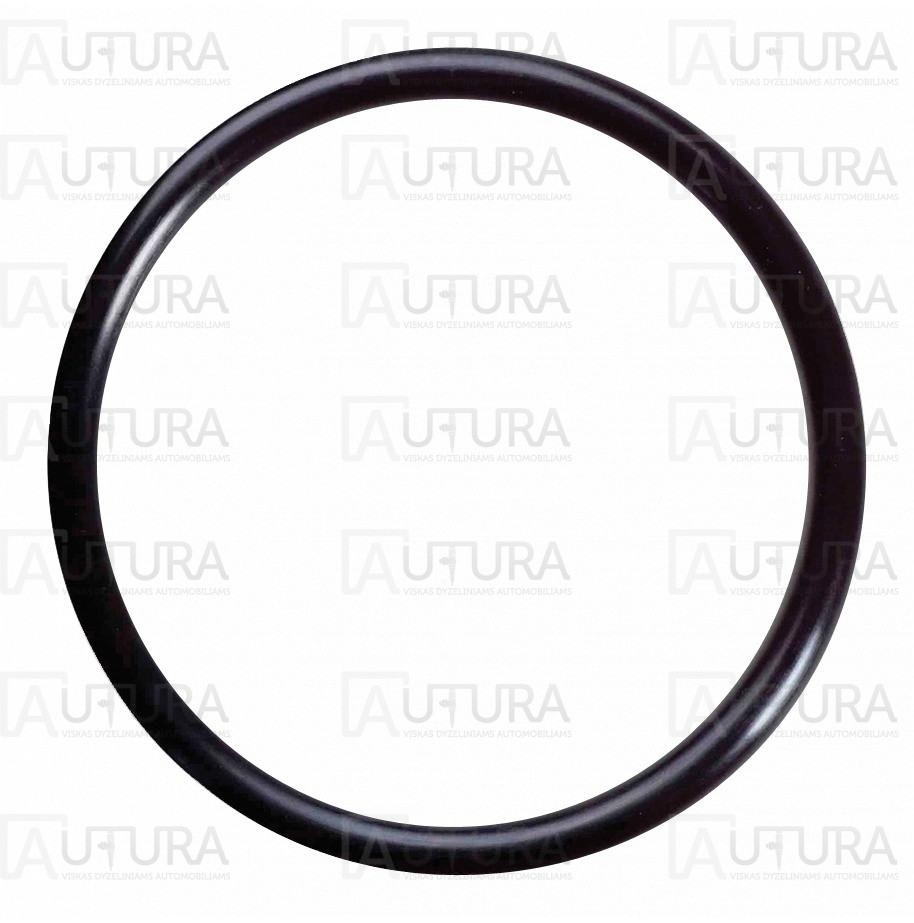 O-RING_2