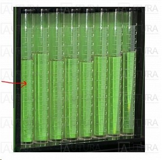 GLASS GRADUATE TUBE